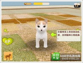 娱乐吃瓜君罗小猫,娱乐吃瓜界的“猫界网红”